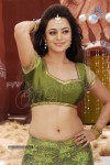 Nisha Agarwal Spicy Pics - 104 of 120
