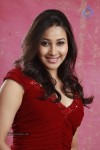 Panchi Bora Hot Photos - 25 of 40