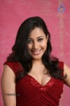Panchi Bora Hot Photos - 30 of 40