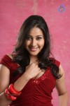 Panchi Bora Hot Photos - 35 of 40