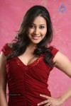Panchi Bora Hot Photos - 40 of 40