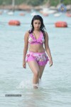 Payal Ghosh (Harika) Spicy Gallery - 23 of 96