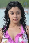 Payal Ghosh (Harika) Spicy Gallery - 68 of 96