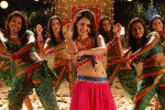 Pooja Bose Spicy Stills - 4 of 74