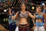 Pooja Bose Spicy Stills - 14 of 74