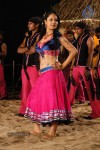 Pooja Bose Spicy Stills - 57 of 74