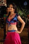 Pooja Bose Spicy Stills - 71 of 74