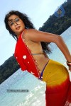 Priyamani Hot Photos - 9 of 82