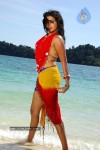 Priyamani Hot Photos - 53 of 82