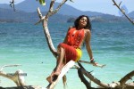 Priyamani Hot Photos - 61 of 82