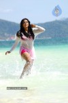 Priyamani Hot Photos - 72 of 82