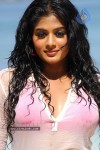 Priyamani Hot Photos - 73 of 82