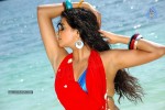 Priyamani Hot Photos - 75 of 82