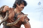 Rajakota Rahasyam Movie Spicy Stills - 13 of 44