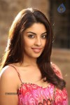 Richa Gangopadhyay Spicy Photos - 24 of 76