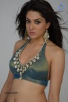 Sakshi Choudary Hot Photo Shoot - 2 of 99