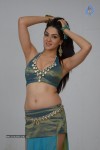Sakshi Choudary Hot Photo Shoot - 5 of 99