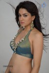 Sakshi Choudary Hot Photo Shoot - 7 of 99