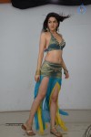 Sakshi Choudary Hot Photo Shoot - 15 of 99
