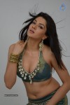 Sakshi Choudary Hot Photo Shoot - 79 of 99