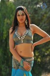 Sakshi Choudary New Hot Stills - 49 of 208
