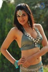 Sakshi Choudary New Hot Stills - 51 of 208