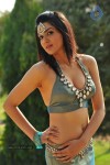 Sakshi Choudary New Hot Stills - 52 of 208