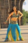Sakshi Choudary New Hot Stills - 62 of 208