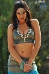Sakshi Choudary New Hot Stills - 74 of 208