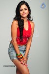 Sheena New Spicy Stills - 76 of 92