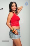 Sheena New Spicy Stills - 79 of 92