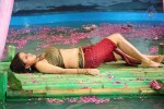 Sheena Shahabadi Hot Photos - 1 of 137