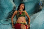 Sheena Shahabadi Hot Photos - 43 of 137