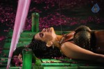 Sheena Shahabadi Hot Photos - 46 of 137