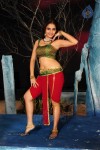 Sheena Shahabadi Hot Photos - 135 of 137