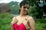Shefali Sharma Spicy Stills - 48 of 51