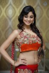 Shilpi Sharma Hot Photos - 26 of 65