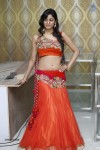 Shilpi Sharma Hot Photos - 32 of 65