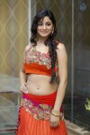 Shilpi Sharma Hot Photos - 50 of 65