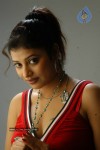 Shobana Naidu Hot Photos - 49 of 56