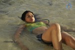 Shraddha Das Spicy Gallery - 53 of 63