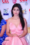 Shriya Hot Photos - 17 of 36