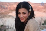 Shruti Hassan Spciy Photos - 23 of 83