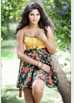 Shruti Reddy Hot Stills - 6 of 22