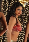 Shweta Bhardwaj Item Song Stills - 28 of 49