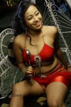 Sneha Spicy Gallery - 21 of 126