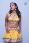 Sneha Spicy Stills - 12 of 85