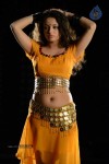 Sneha Ullal Hot Photos - 26 of 50
