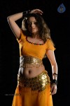 Sneha Ullal Hot Photos - 27 of 50