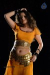 Sneha Ullal Hot Photos - 28 of 50